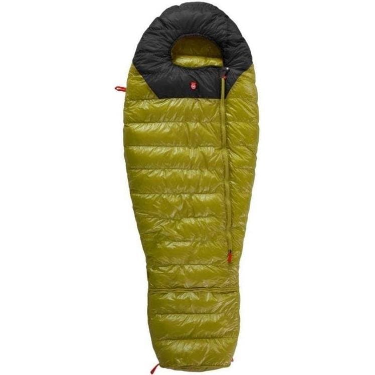 PAJAK QUEST BEAR